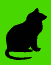 cat bullet