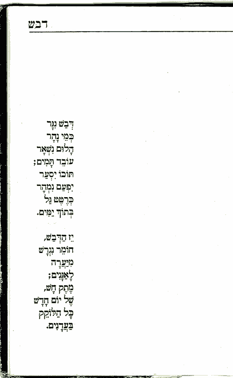 מילות השיר "דבש" מאת ינון נאמן