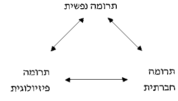 תרומת בעלי החיים לילדים באה בשלושה מישורים:דיאגרמה